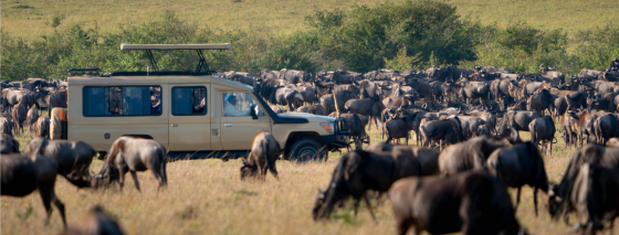 great migration